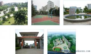 东莞五星职业技术学校