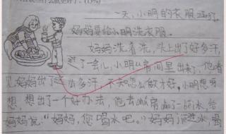 有趣的动物二年级写话