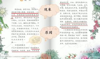 三年级花钟课后小练笔