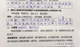 三年级花钟课后小练笔