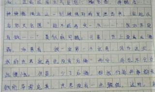 一件令我感动的事500字