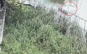 追小偷导致小偷溺亡谁的责任 小偷溺亡家属索赔遭拒